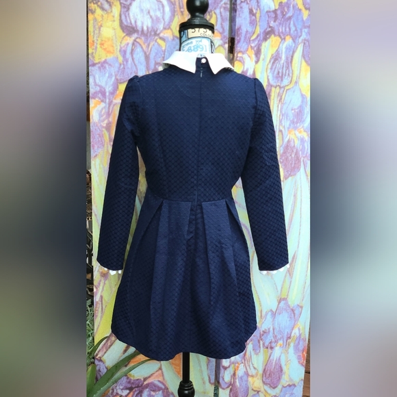 Jianshan Medium Mini-Dress Collared Swan Navy Blue Textured Party Dress - Picture 5 of 9